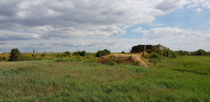 Grain Fort